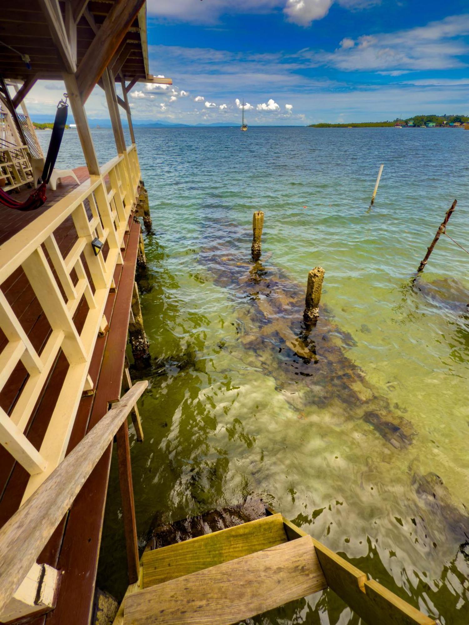 Saigon Bay Bed & Breakfast Bocas del Toro Pokoj fotografie